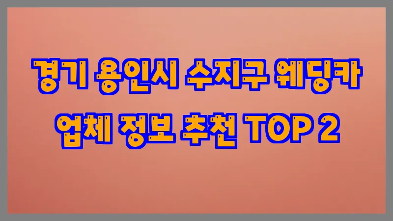 경기 용인시 수지구 웨딩카