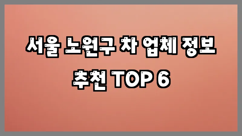 서울 노원구 차