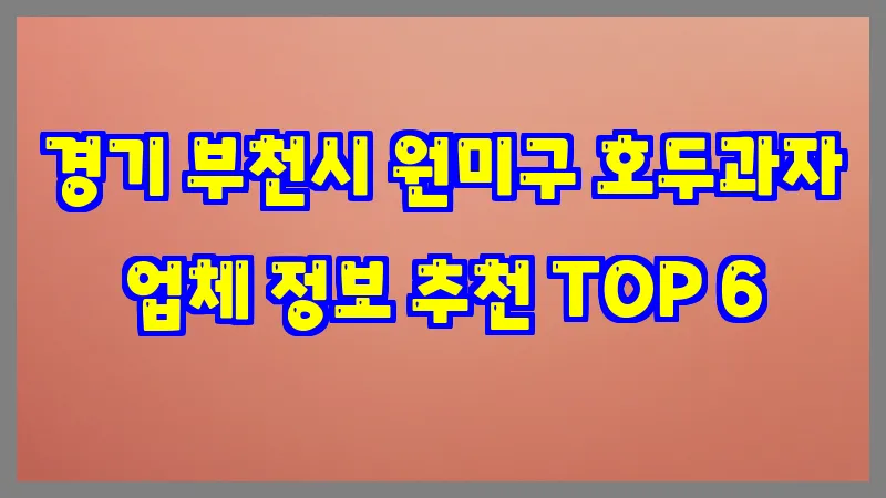 경기 부천시 원미구 호두과자