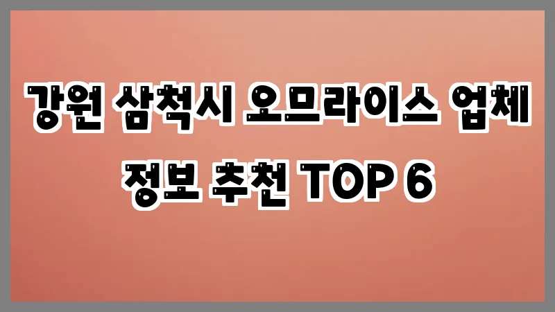 강원 삼척시 오므라이스