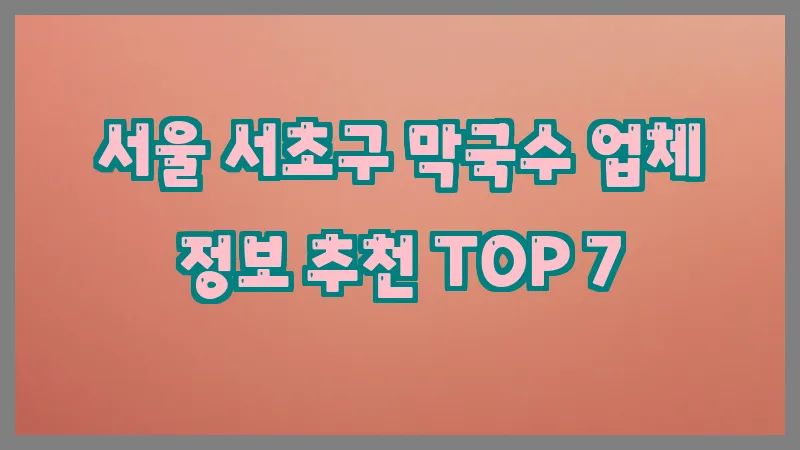 서울 서초구 막국수 업체 정보 추천 TOP 7
