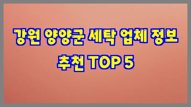 강원 양양군 세탁 업체 정보 추천 TOP 5