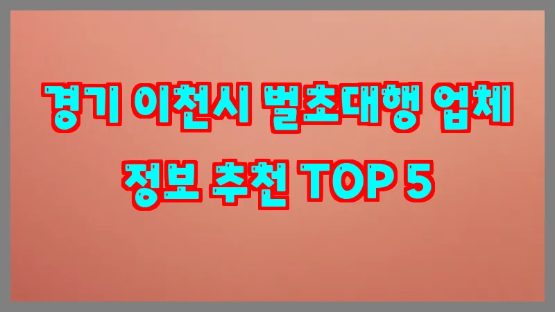 경기 이천시 벌초대행 업체 정보 추천 TOP 5
