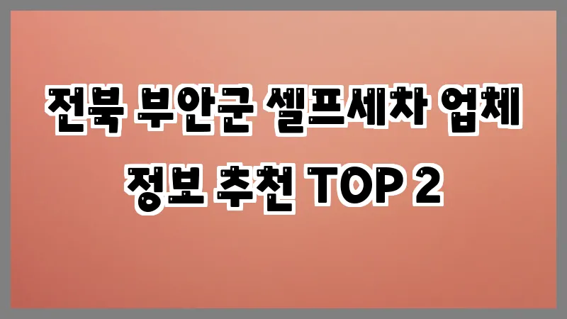 전북 부안군 셀프세차
