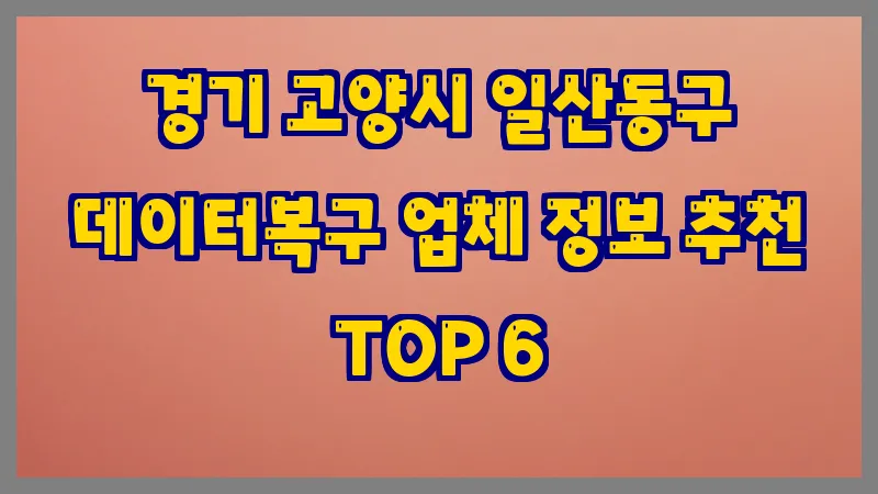 경기 고양시 일산동구 데이터복구