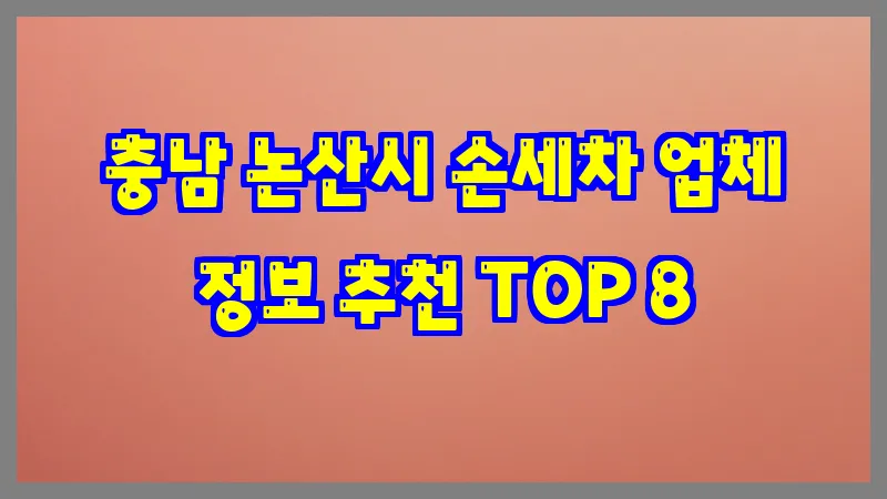 충남 논산시 손세차 업체 정보 추천 TOP 8