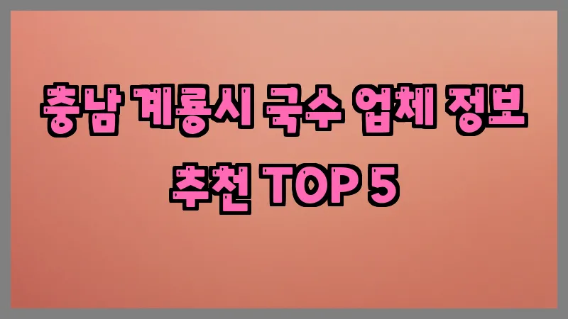 충남 계룡시 국수