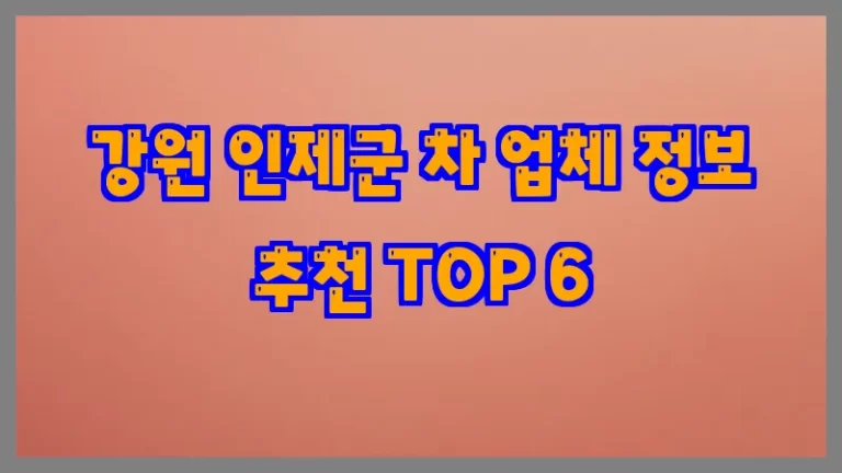강원 인제군 차 업체 정보 추천 TOP 6