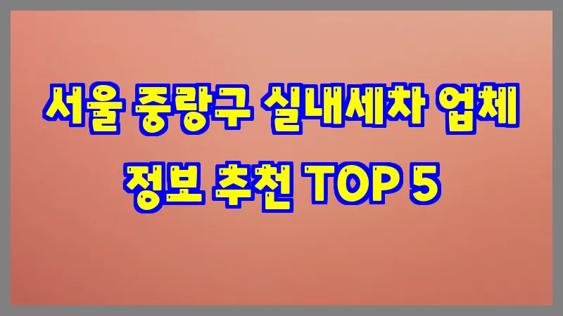 서울 중랑구 실내세차