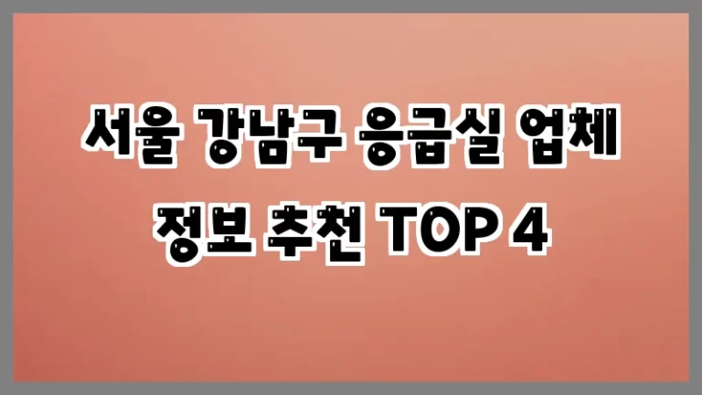 서울 강남구 응급실 업체 정보 추천 TOP 4