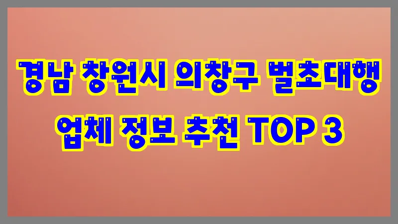 경남 창원시 의창구 벌초대행