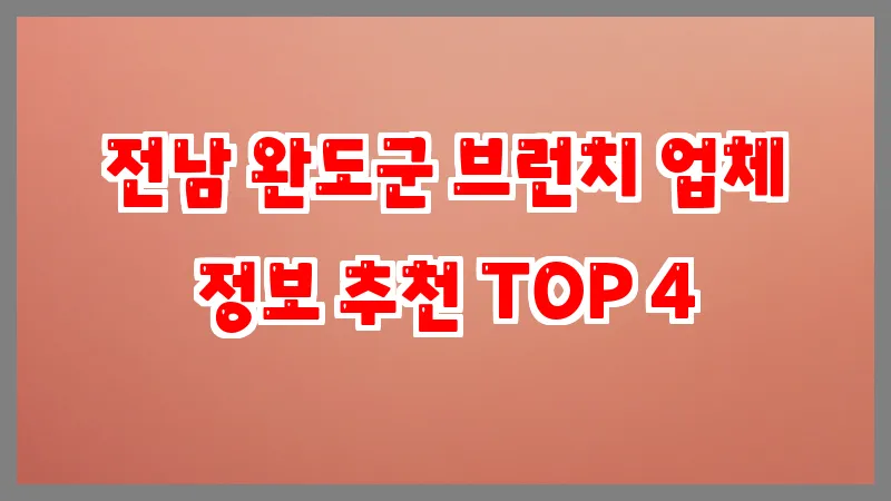 전남 완도군 브런치