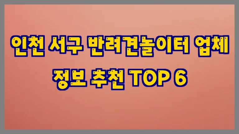 인천 서구 반려견놀이터 업체 정보 추천 TOP 6
