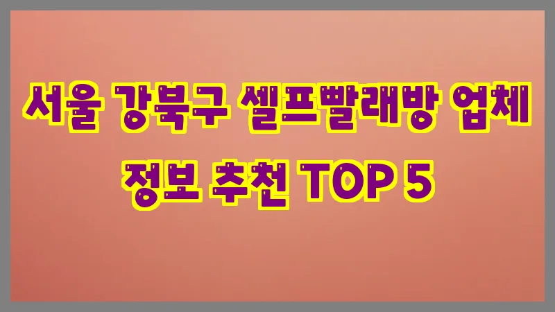 서울 강북구 셀프빨래방