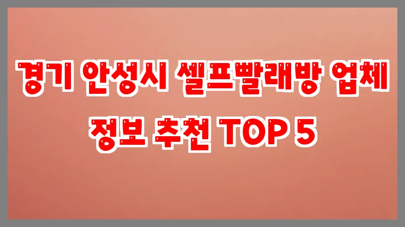 경기 안성시 셀프빨래방