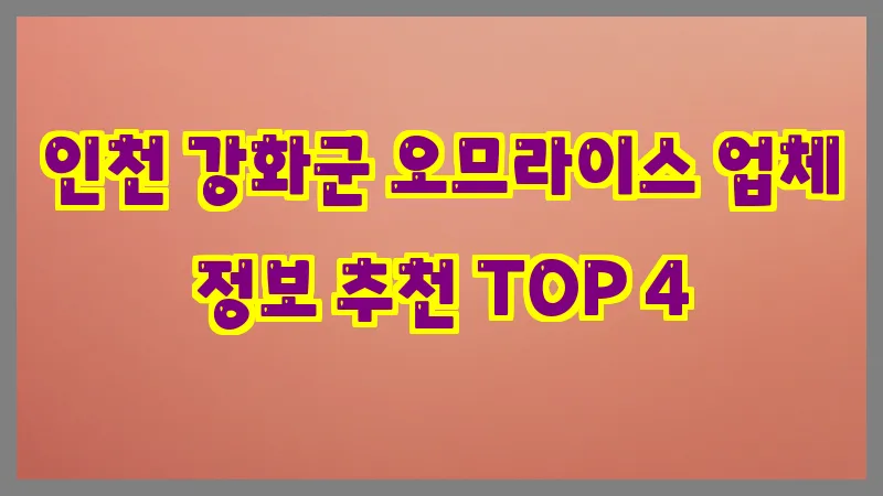 인천 강화군 오므라이스