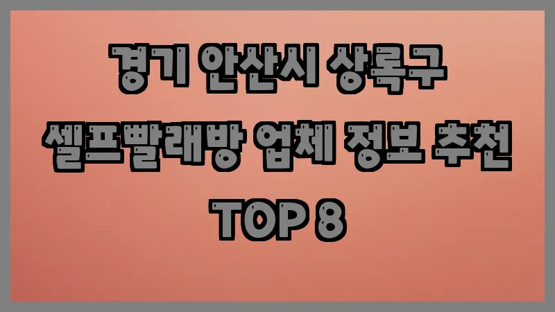 경기 안산시 상록구 셀프빨래방