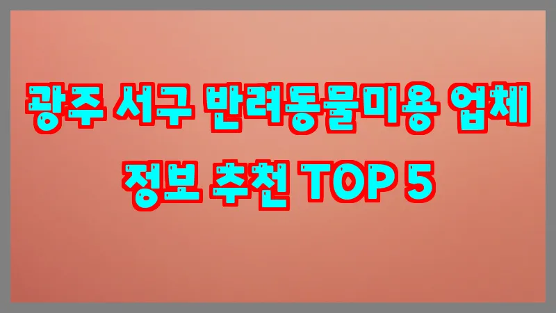 광주 서구 반려동물미용