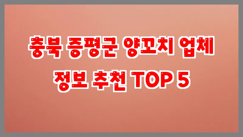 충북 증평군 양꼬치