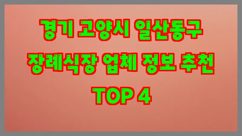 경기 고양시 일산동구 장례식장