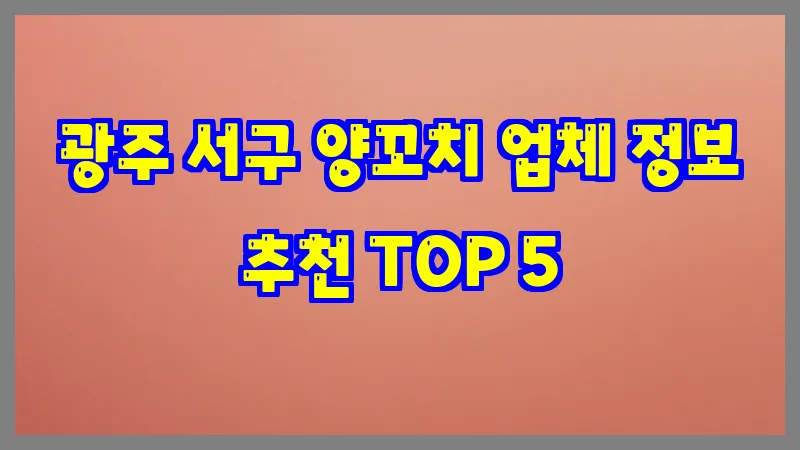 광주 서구 양꼬치