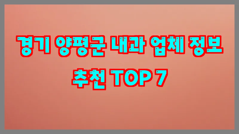 경기 양평군 내과