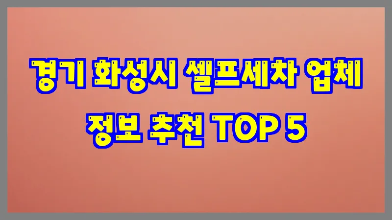 경기 화성시 셀프세차