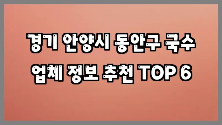 경기 안양시 동안구 국수 업체 정보 추천 TOP 6