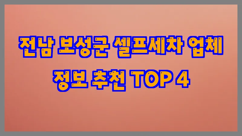 전남 보성군 셀프세차