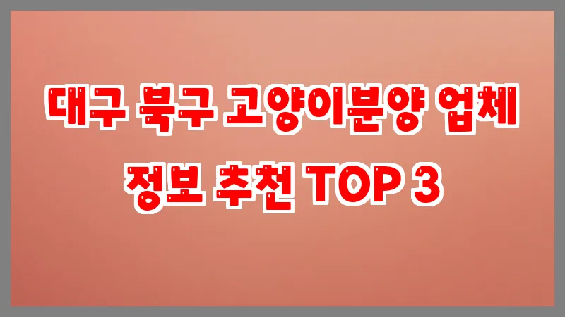 대구 북구 고양이분양 업체 정보 추천 TOP 3