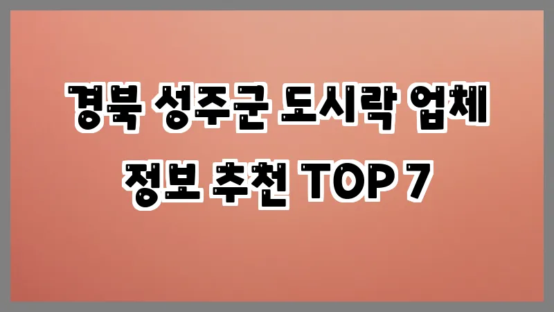 경북 성주군 도시락