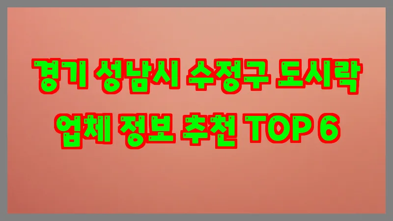 경기 성남시 수정구 도시락