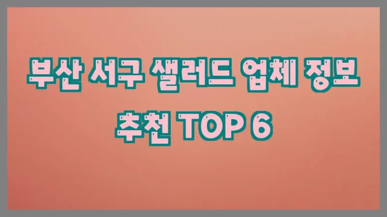 부산 서구 샐러드 업체 정보 추천 TOP 6