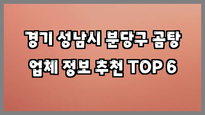 경기 성남시 분당구 곰탕