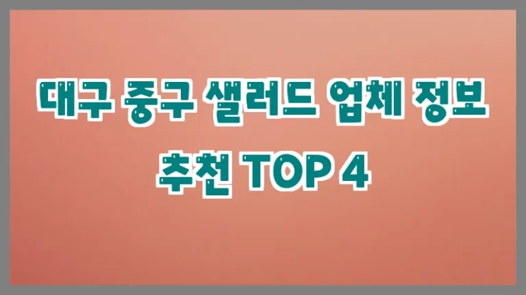 대구 중구 샐러드 업체 정보 추천 TOP 4