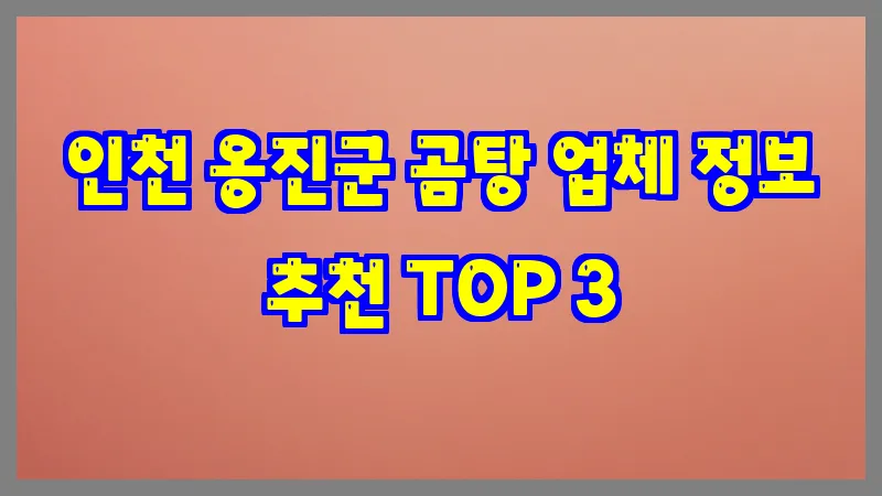 인천 옹진군 곰탕