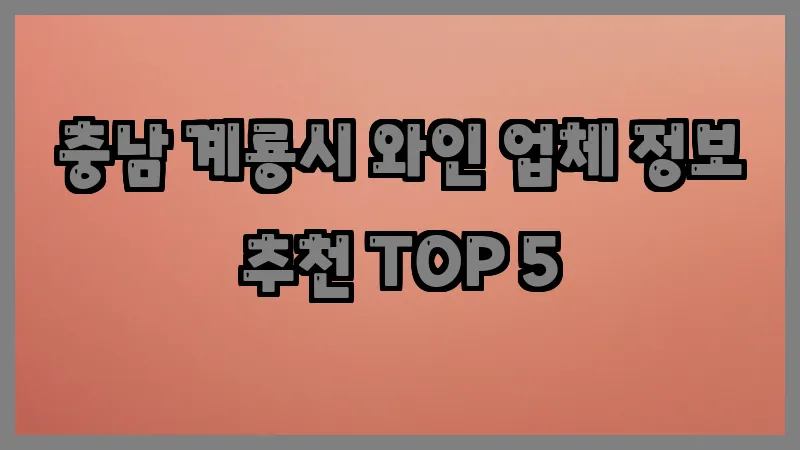 충남 계룡시 와인