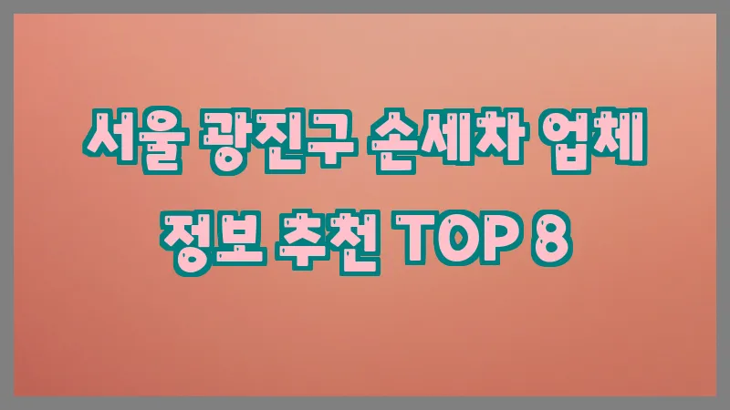 서울 광진구 손세차
