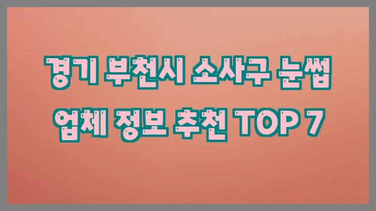경기 부천시 소사구 눈썹 업체 정보 추천 TOP 7