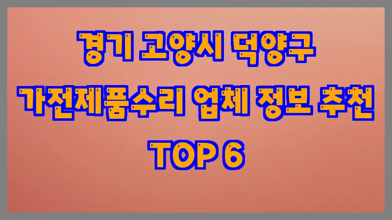 경기 고양시 덕양구 가전제품수리