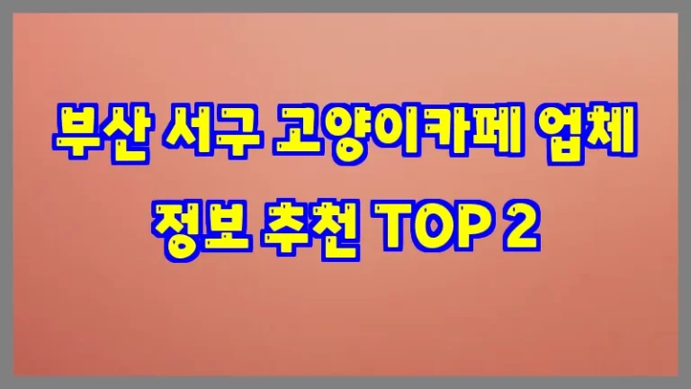 부산 서구 고양이카페 업체 정보 추천 TOP 2