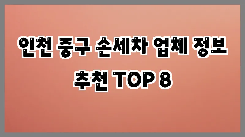 인천 중구 손세차