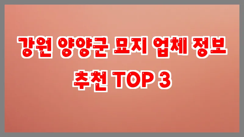 강원 양양군 묘지