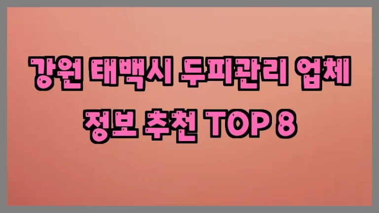 강원 태백시 두피관리 업체 정보 추천 TOP 8