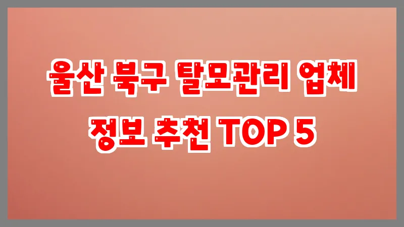 울산 북구 탈모관리