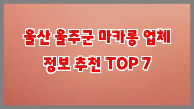 울산 울주군 마카롱 업체 정보 추천 TOP 7