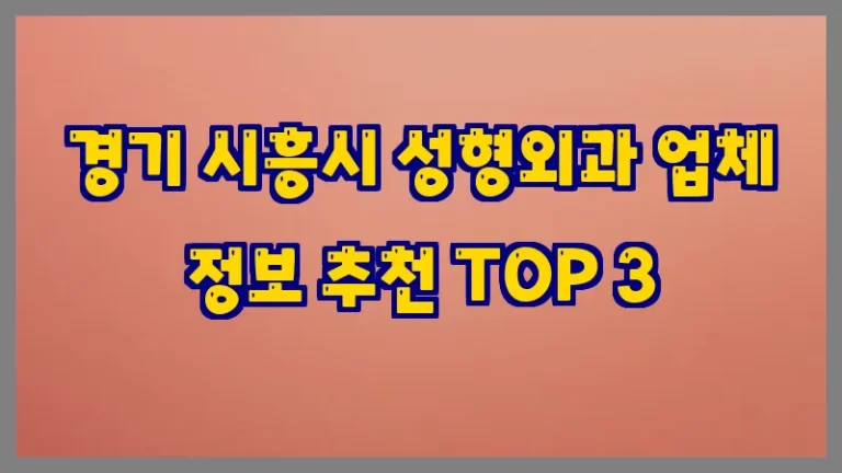 경기 시흥시 성형외과 업체 정보 추천 TOP 3