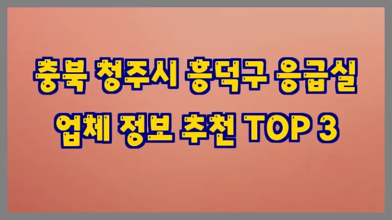 충북 청주시 흥덕구 응급실 업체 정보 추천 TOP 3