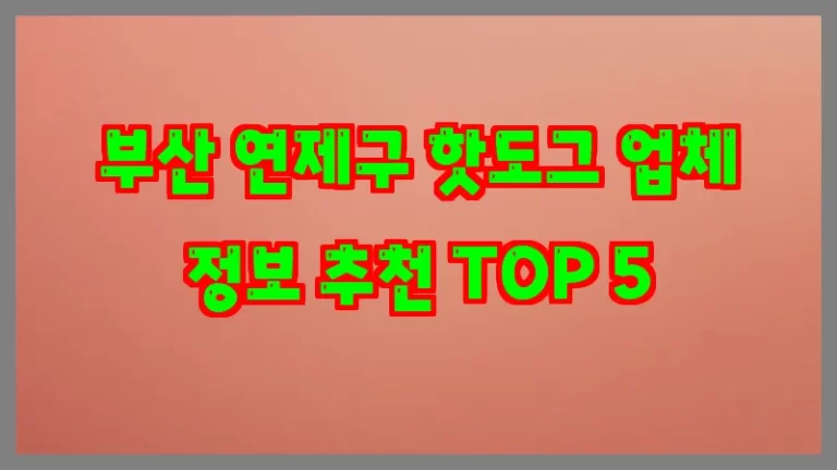 부산 연제구 핫도그 업체 정보 추천 TOP 5