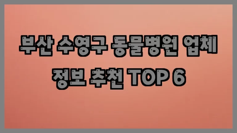 부산 수영구 동물병원 업체 정보 추천 TOP 6